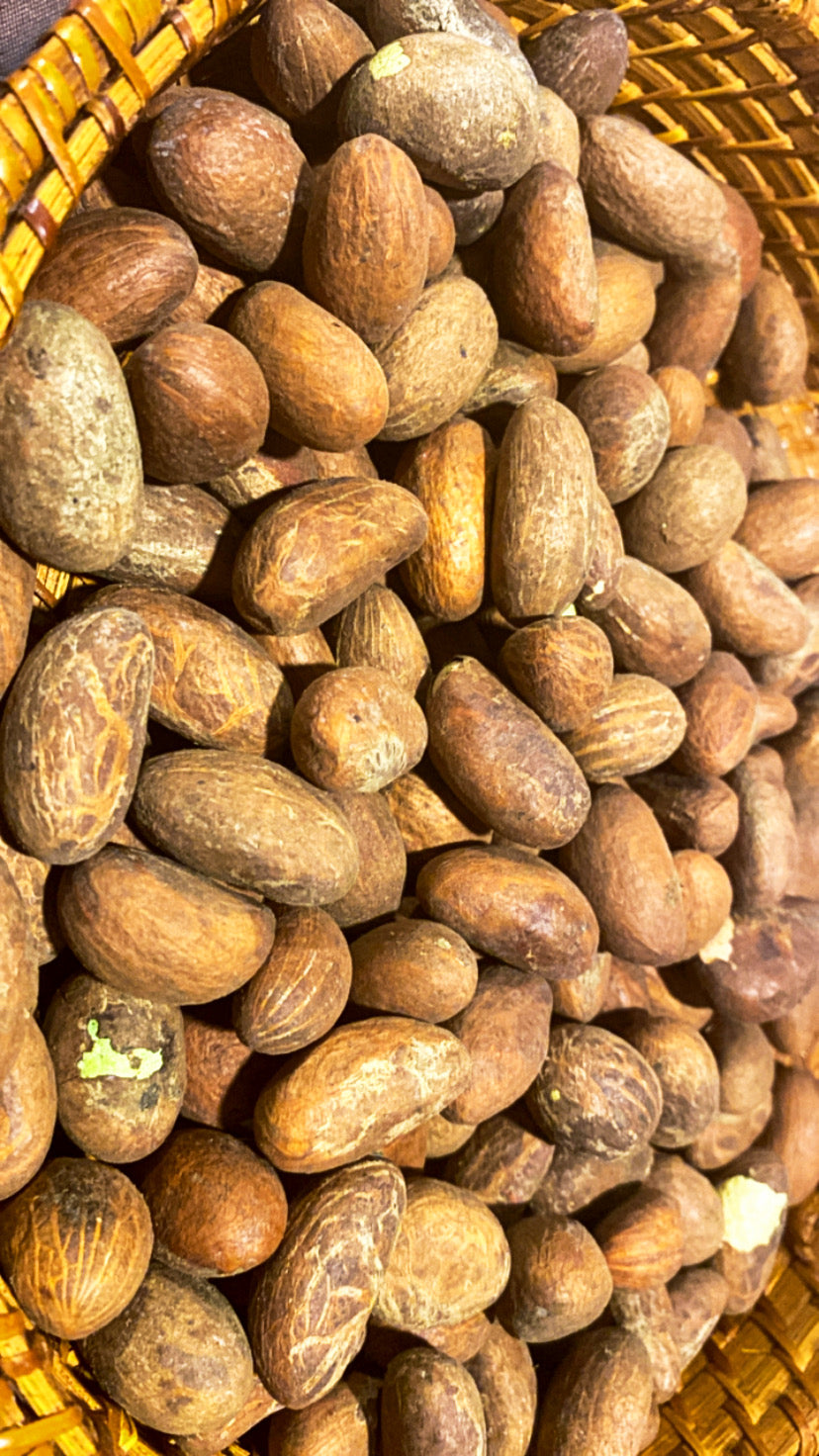 Bitter Colas - kola nud - petit Colas - Colas amér africain
- Noix de petit colas fraîches -Noix de kola naturelles d’Afrique
