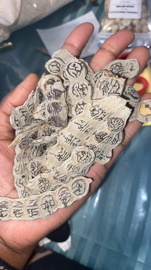 NEP NEP , acacias en poudre ou en entier 50g