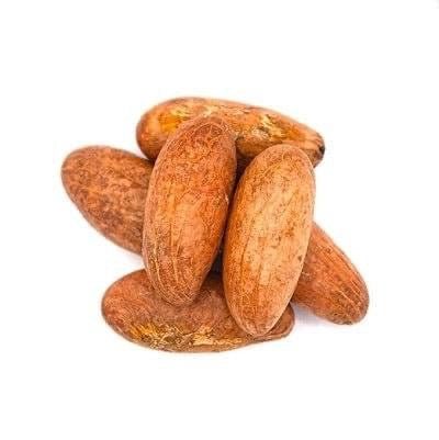 Bitter Colas - kola nud - petit Colas - Colas amér africain