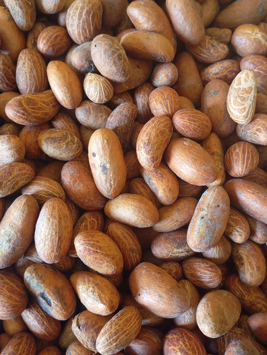 Bitter Colas - kola nud - petit Colas - Colas amér africain
 - Noix de petit colas fraîches -Noix de kola naturelles d’Afrique