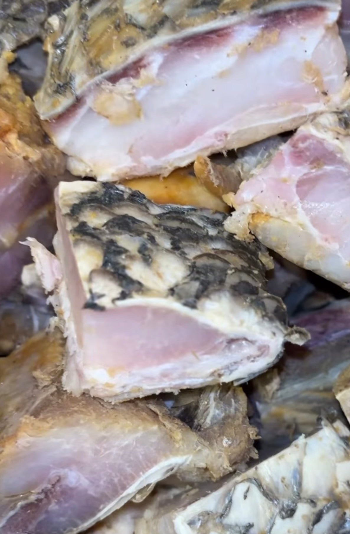 Guedj Beurre – Poisson Fermenté & Séché Traditionnel du Sénégal