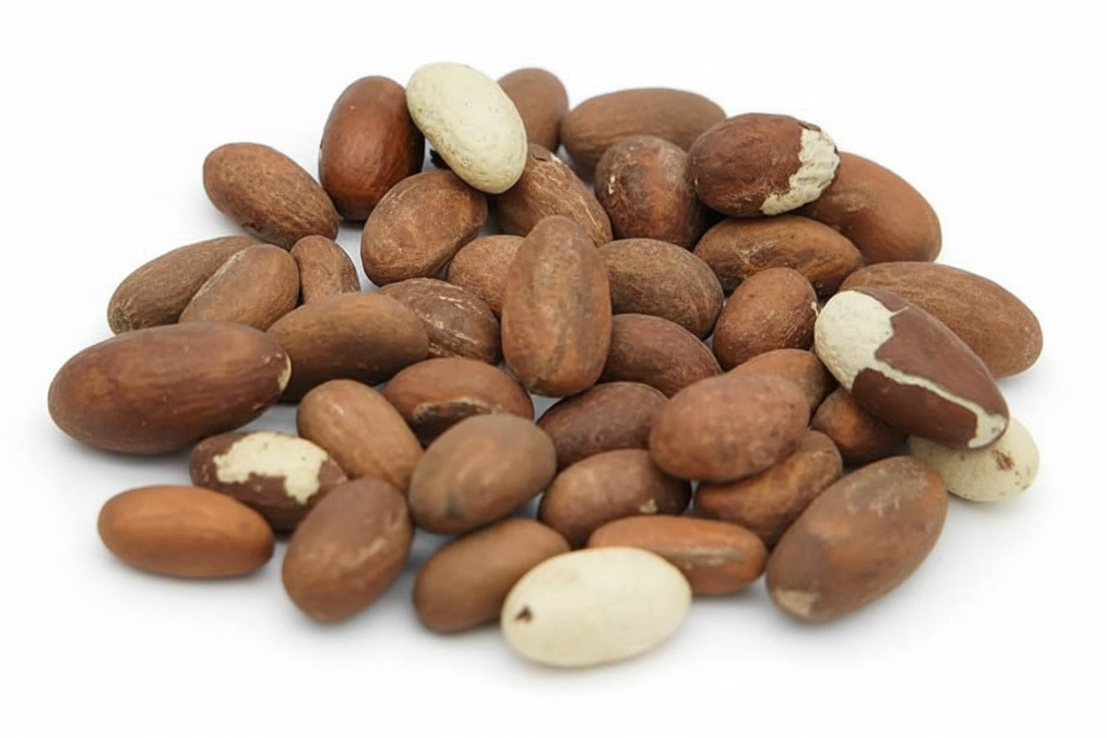 Bitter Colas - kola nud - petit Colas - Colas amér africain