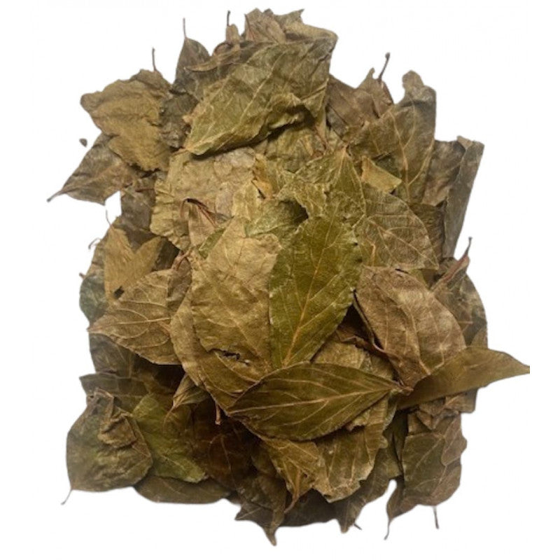 Kinkeliba Bio - Feuilles Séchées Artisanales (ou Kinkeliba du Sénégal / Infusion Détox)- Tisanes longue vie
